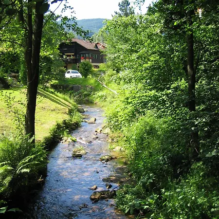 Kuckucksnest