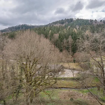 Kuckucksnest Apartamento *