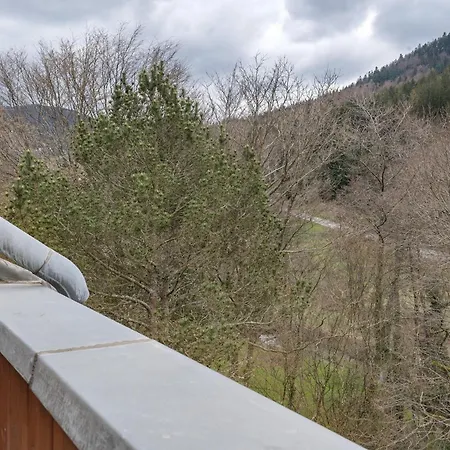 Appartement Kuckucksnest Bad Herrenalb